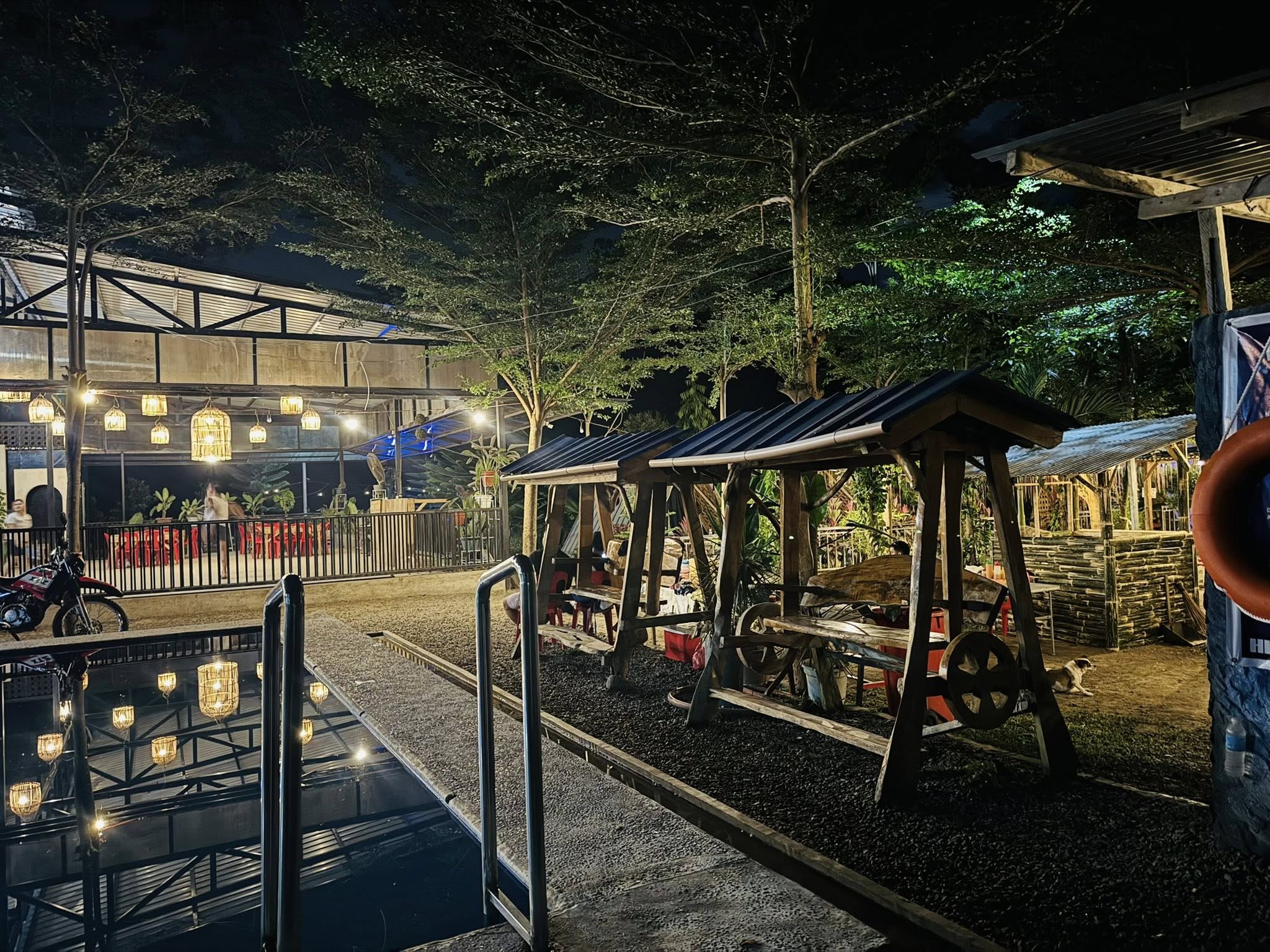 Park trees and garden