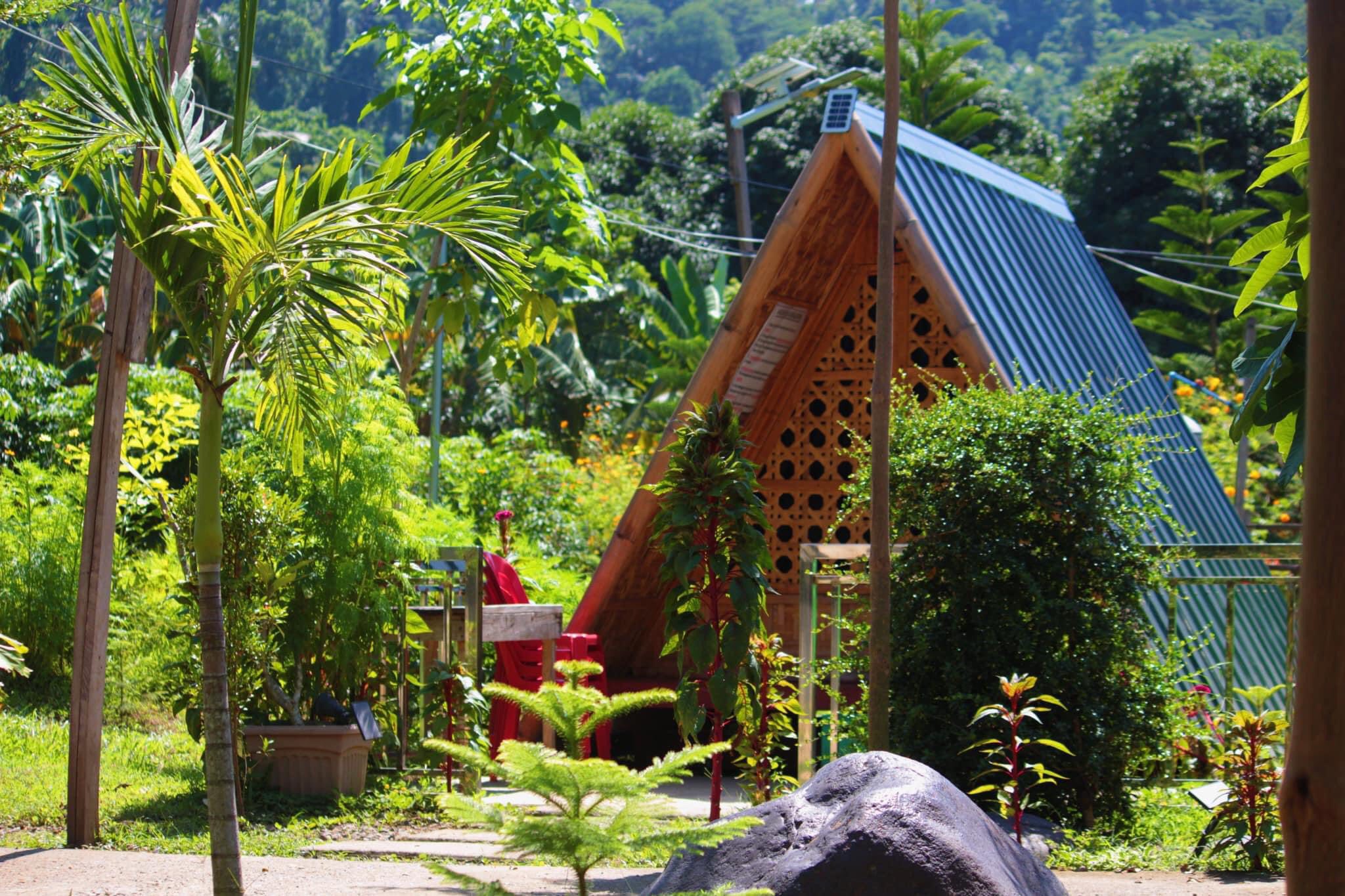 Park cottage view